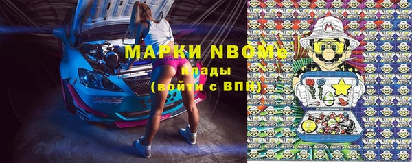 молекула духа Богородицк
